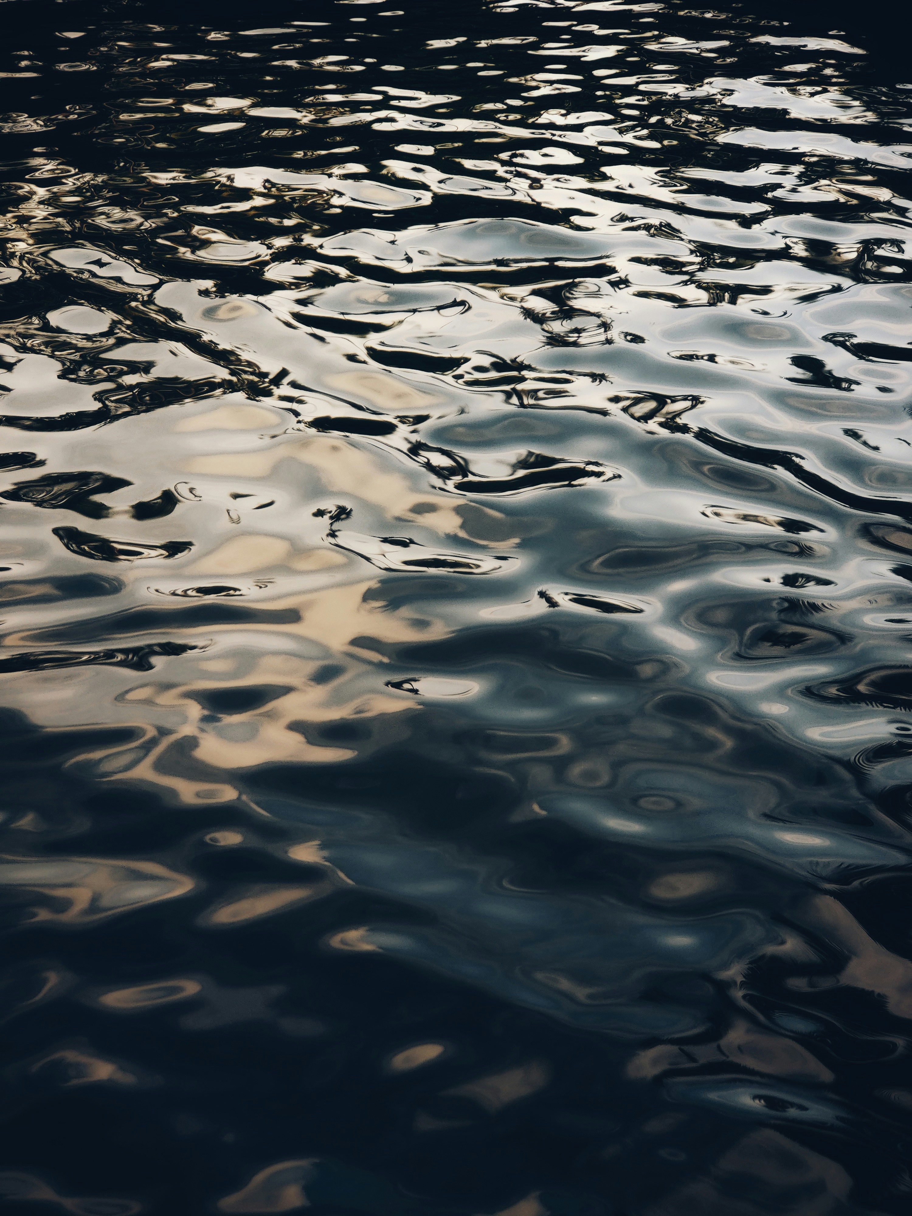 Photo by yadunandlal