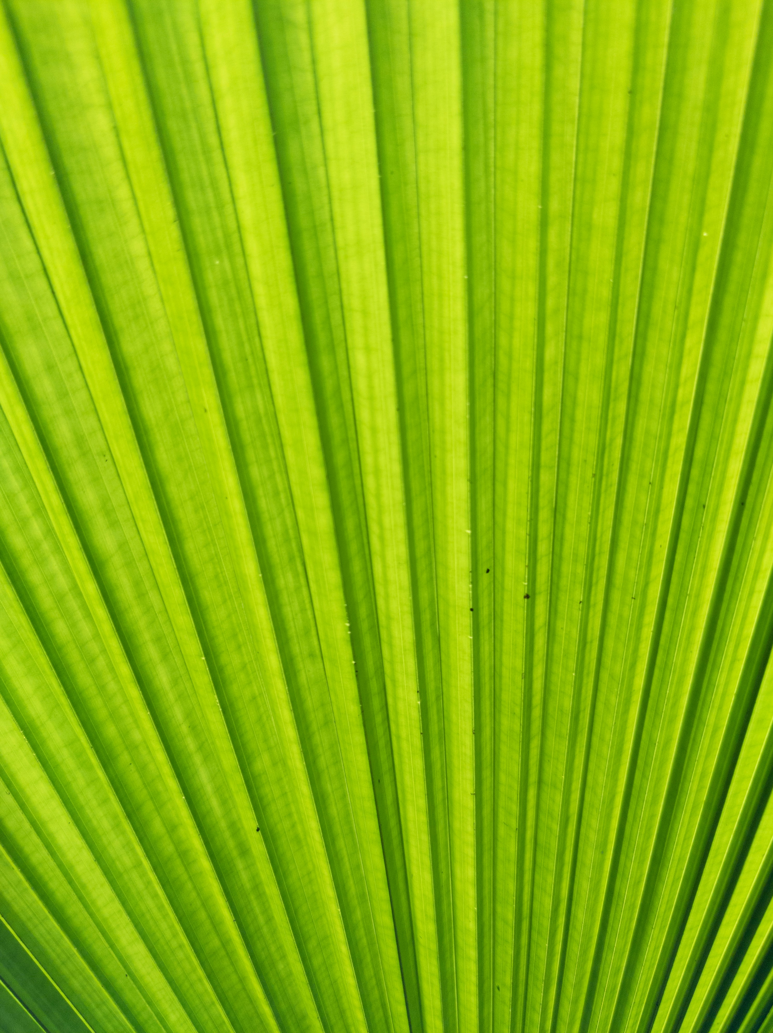 Photo by yadunandlal