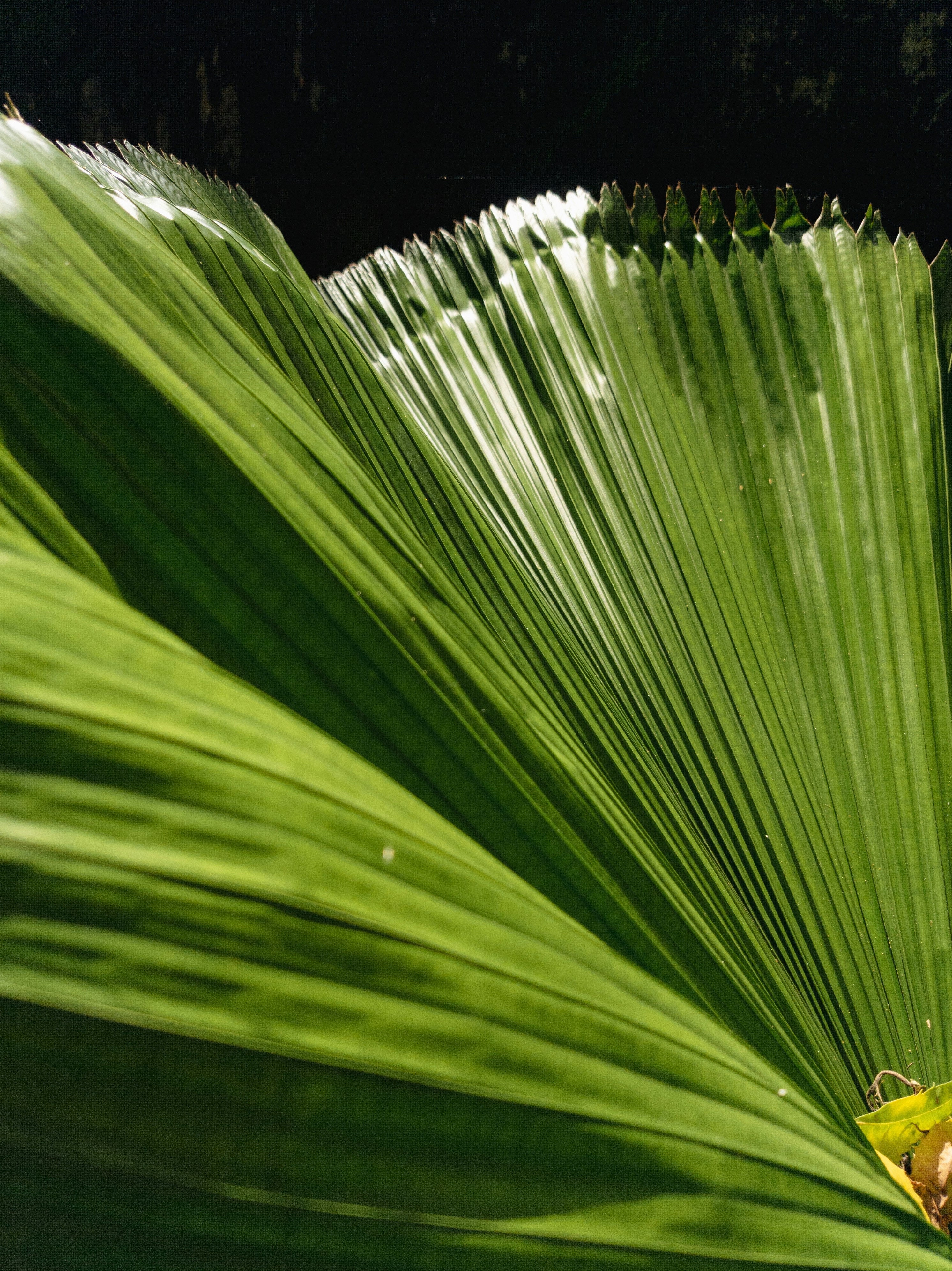 Photo by yadunandlal