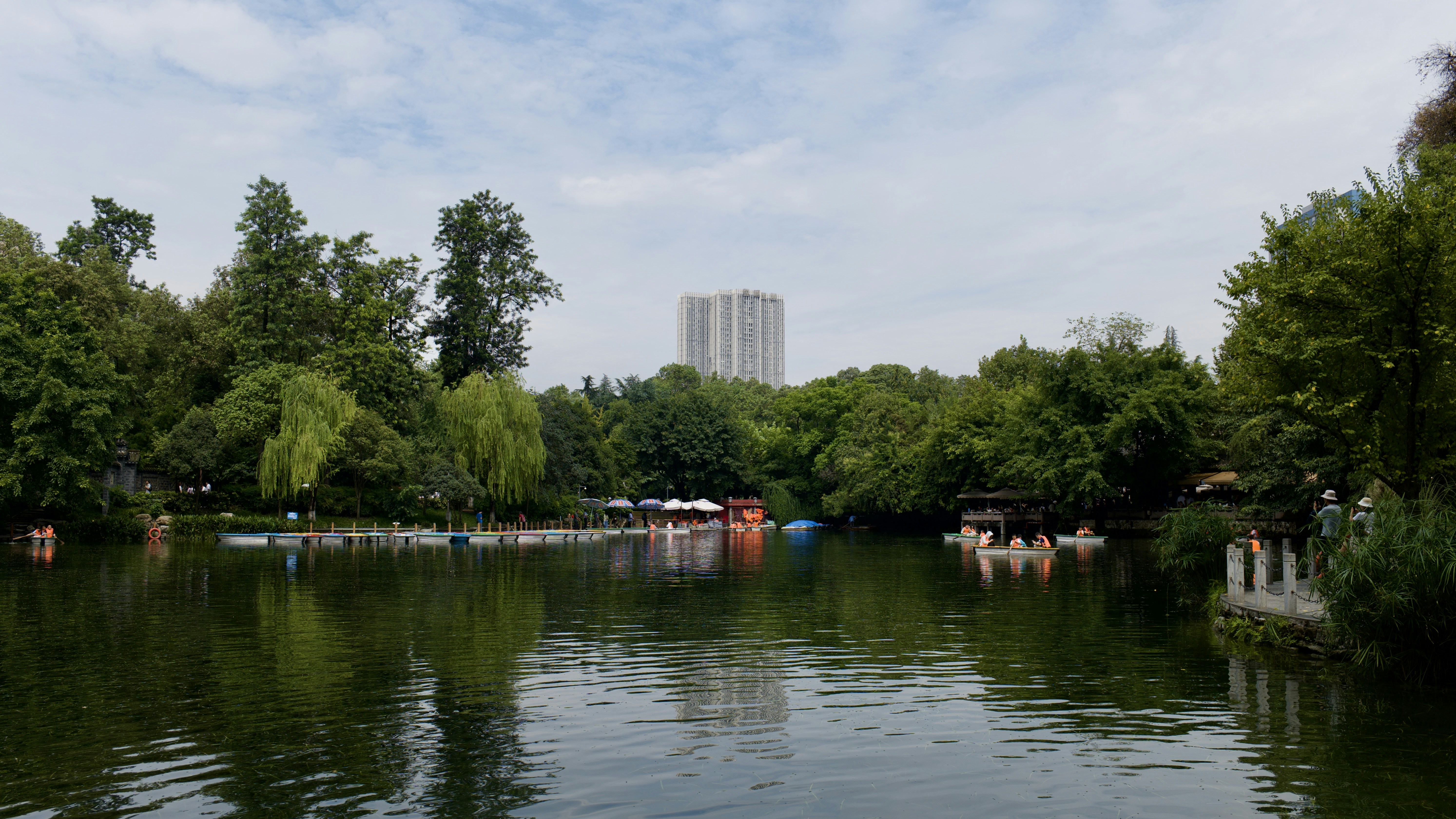 Image by Terry Zhong via Unsplash