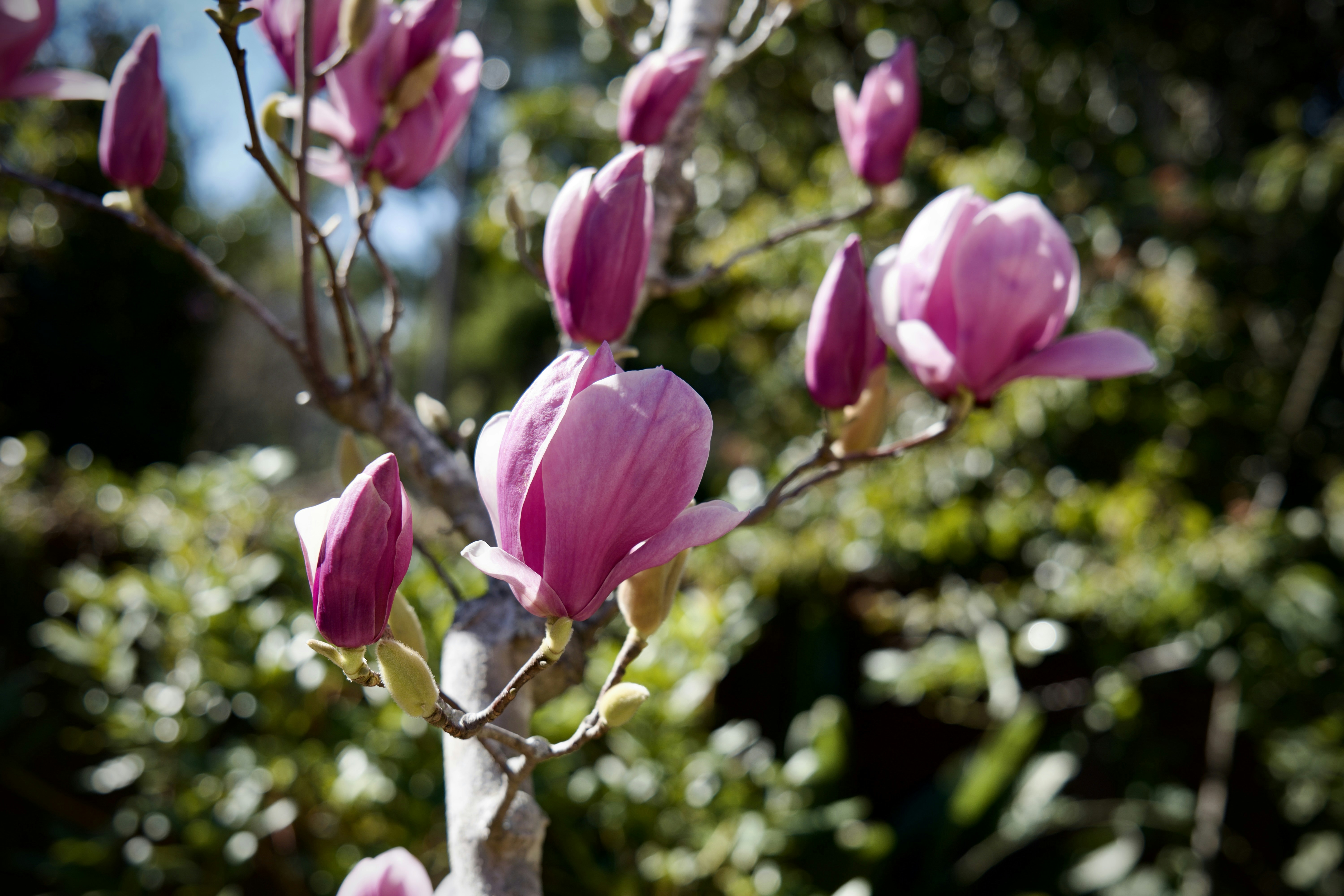 Photo by thelightnight