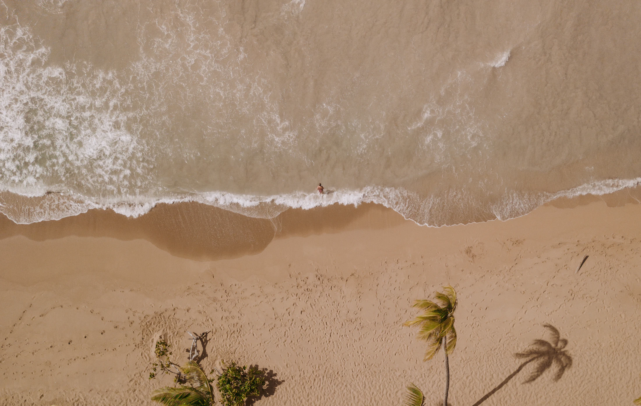 Palm-backed shoreline and turquoise water at Playa Bonita