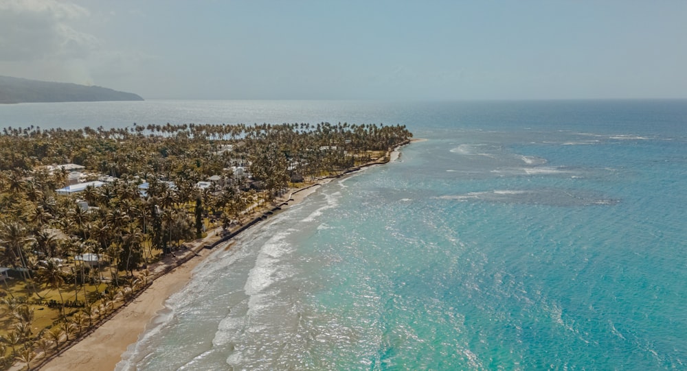 an aerial view of a beach with palm trees