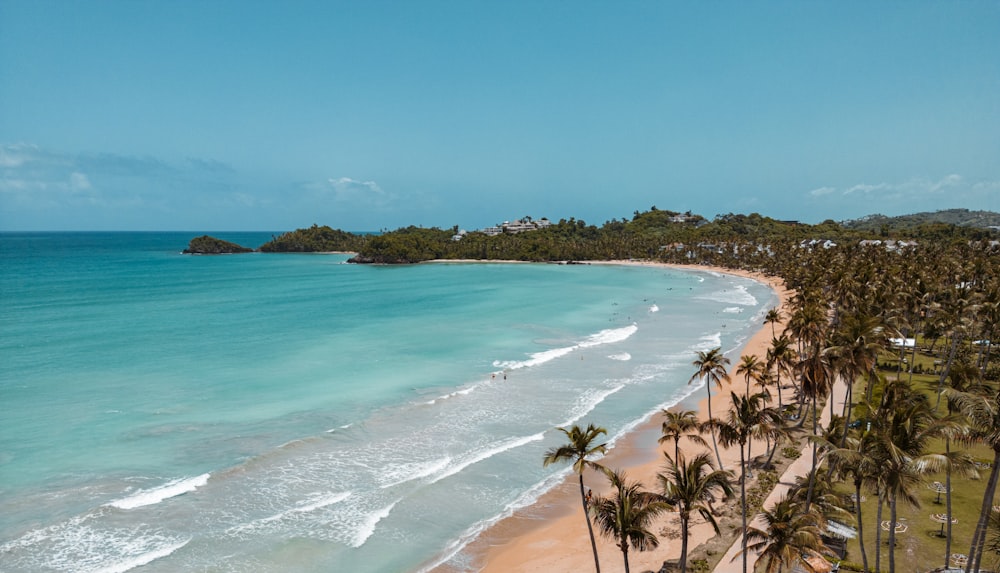 an aerial view of a beach with palm trees