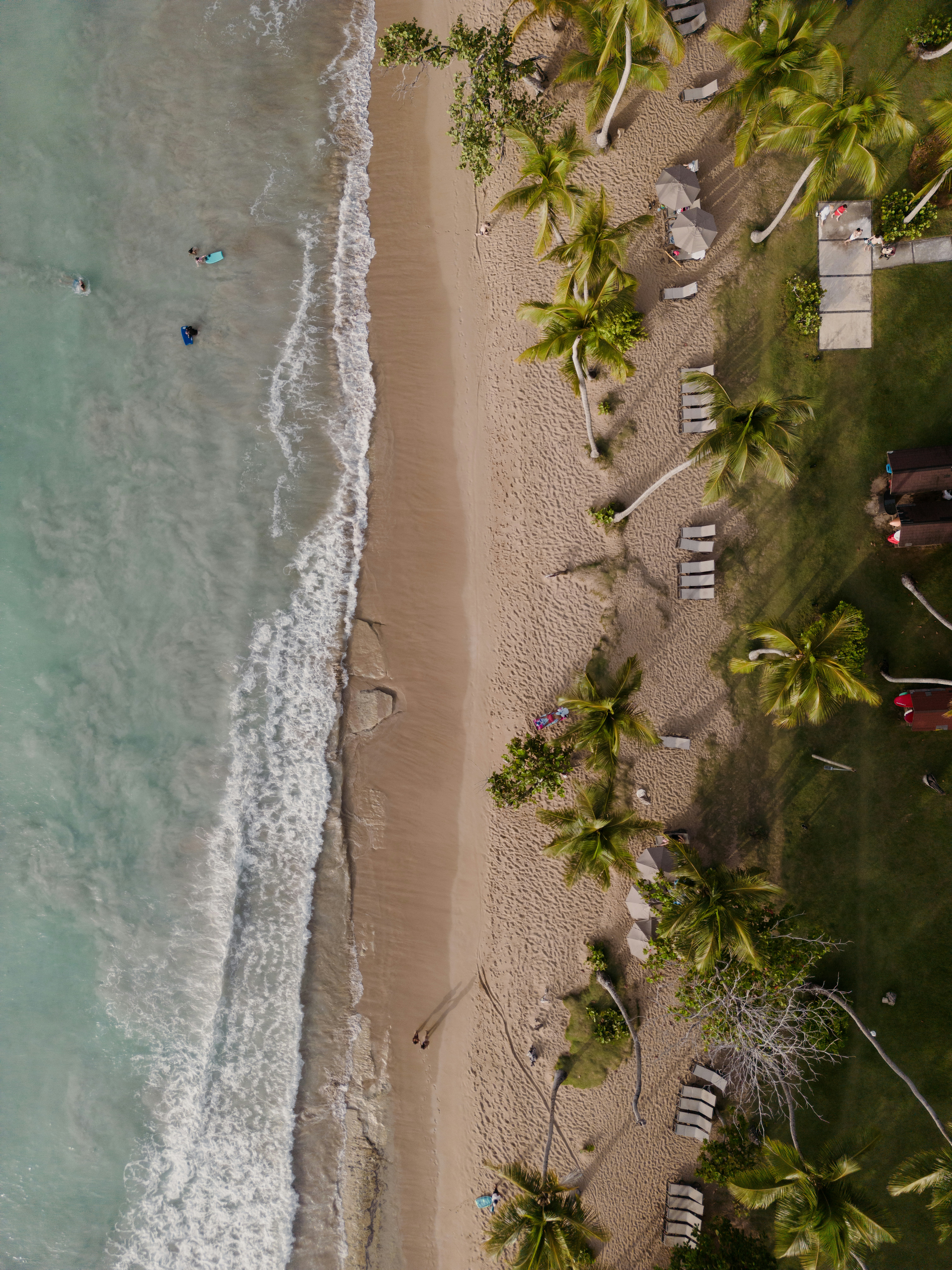 An aerial view of a sandy beach with palm trees photo – Free Wallpaper ...