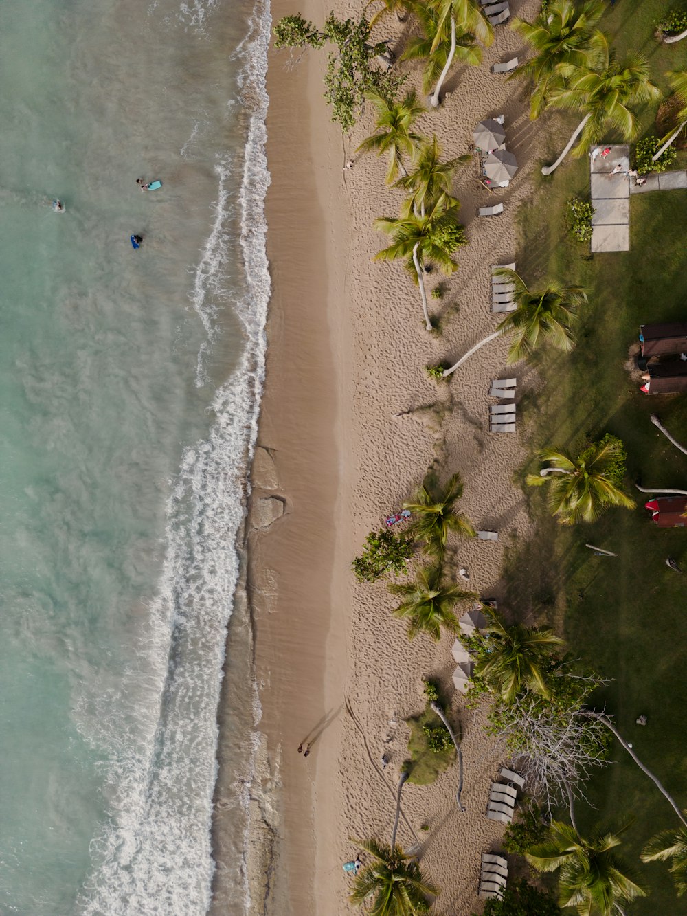 Una vista aérea de una playa de arena con palmeras