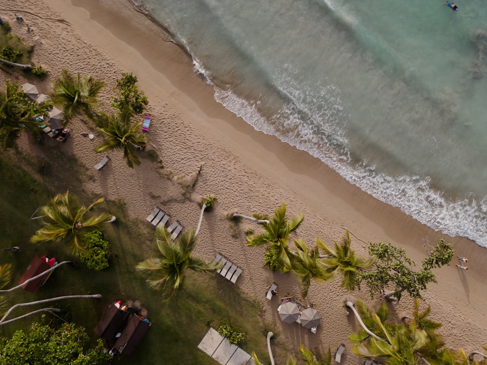 an aerial view of a sandy beach and ocean