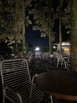 Outdoor seating area under tall trees with rustic lighting for evening relaxation.
