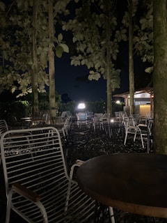 Outdoor seating area under tall trees with rustic lighting for evening relaxation.