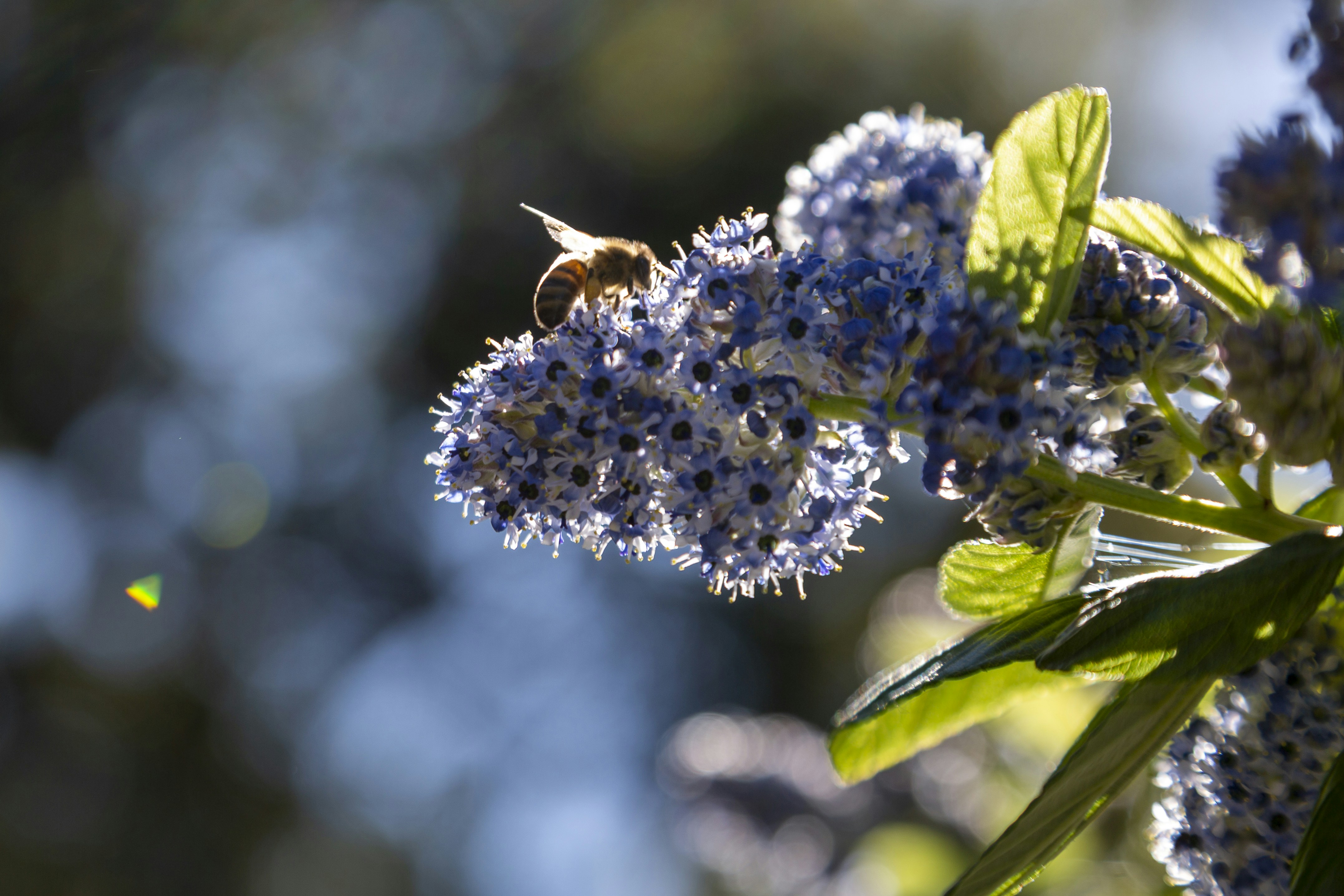 Photo by stephenmabbs