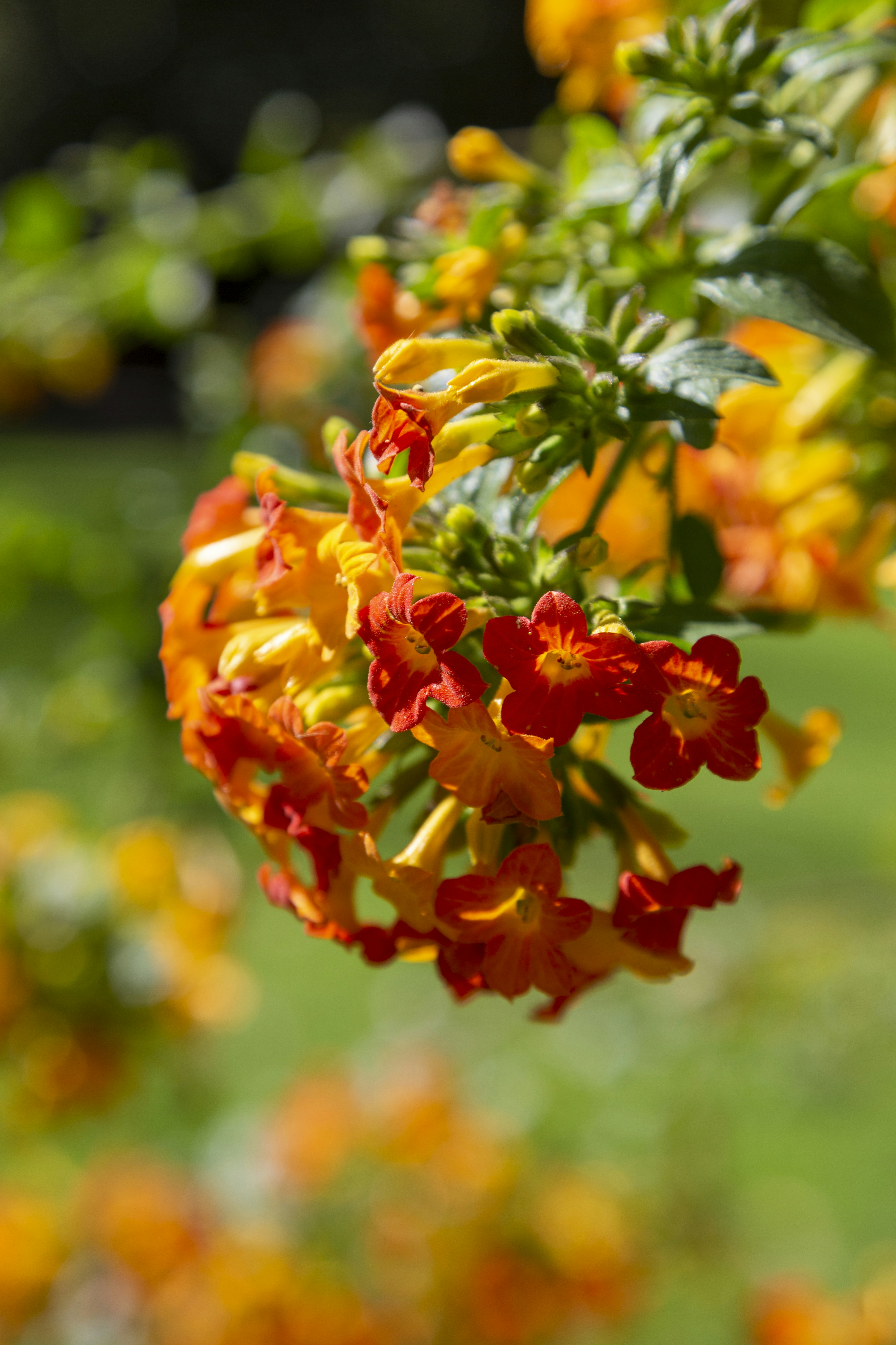 Photo by stephenmabbs