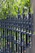 An ornate, black wrought iron fence is shown with intricate spiral and spearhead designs. Lush green foliage serves as the backdrop, with sunlight filtering through the leaves, creating a play of light and shadow.