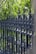 An ornate, black wrought iron fence is shown with intricate spiral and spearhead designs. Lush green foliage serves as the backdrop, with sunlight filtering through the leaves, creating a play of light and shadow.