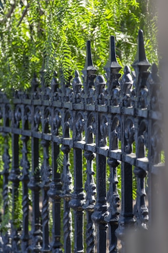 An ornate, black wrought iron fence is shown with intricate spiral and spearhead designs. Lush green foliage serves as the backdrop, with sunlight filtering through the leaves, creating a play of light and shadow.