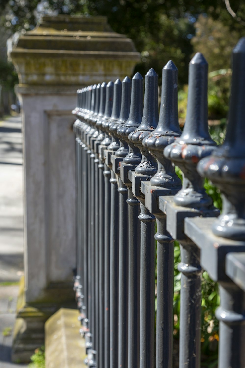 a close up of a metal fence with a tree in the background