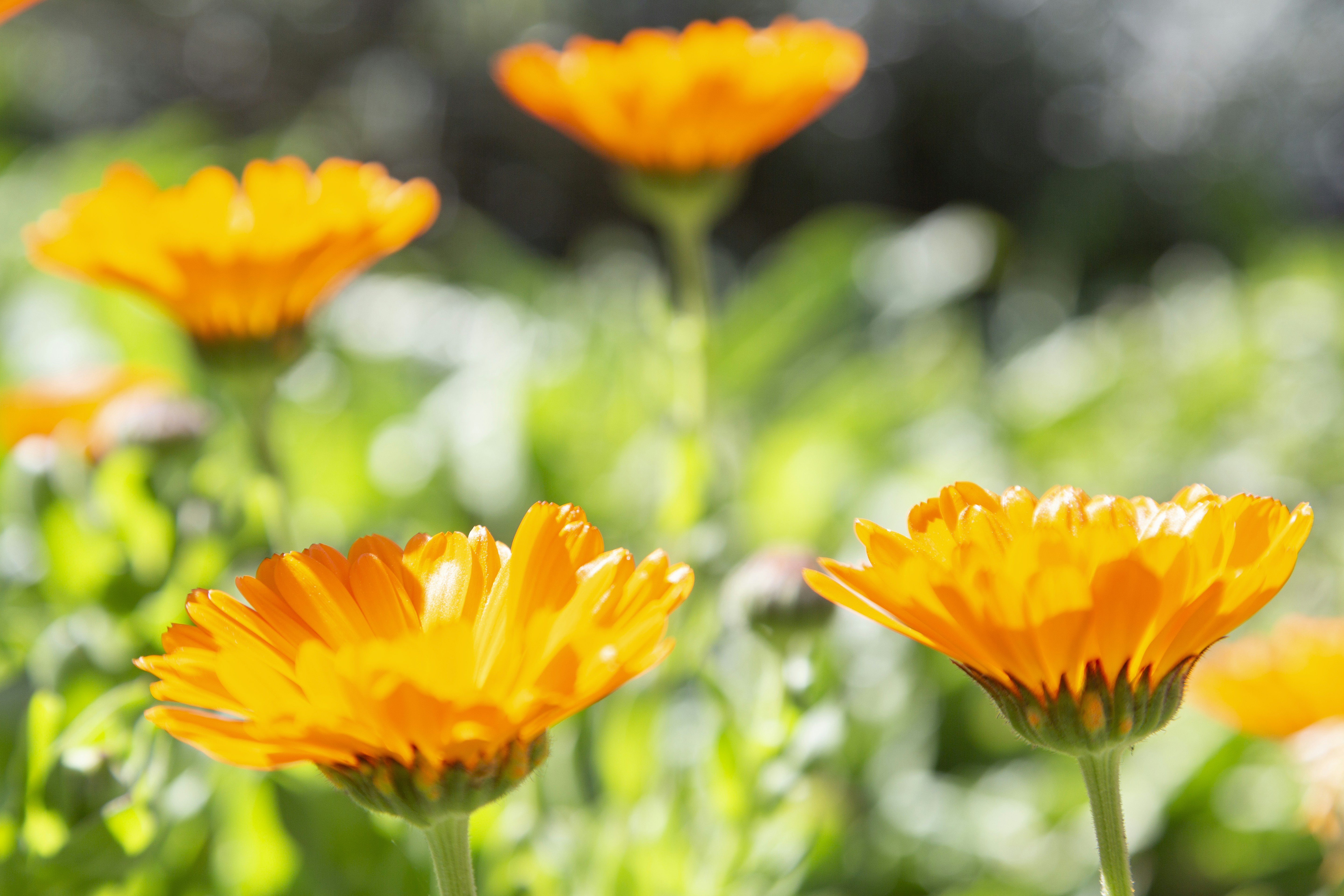 Photo by stephenmabbs