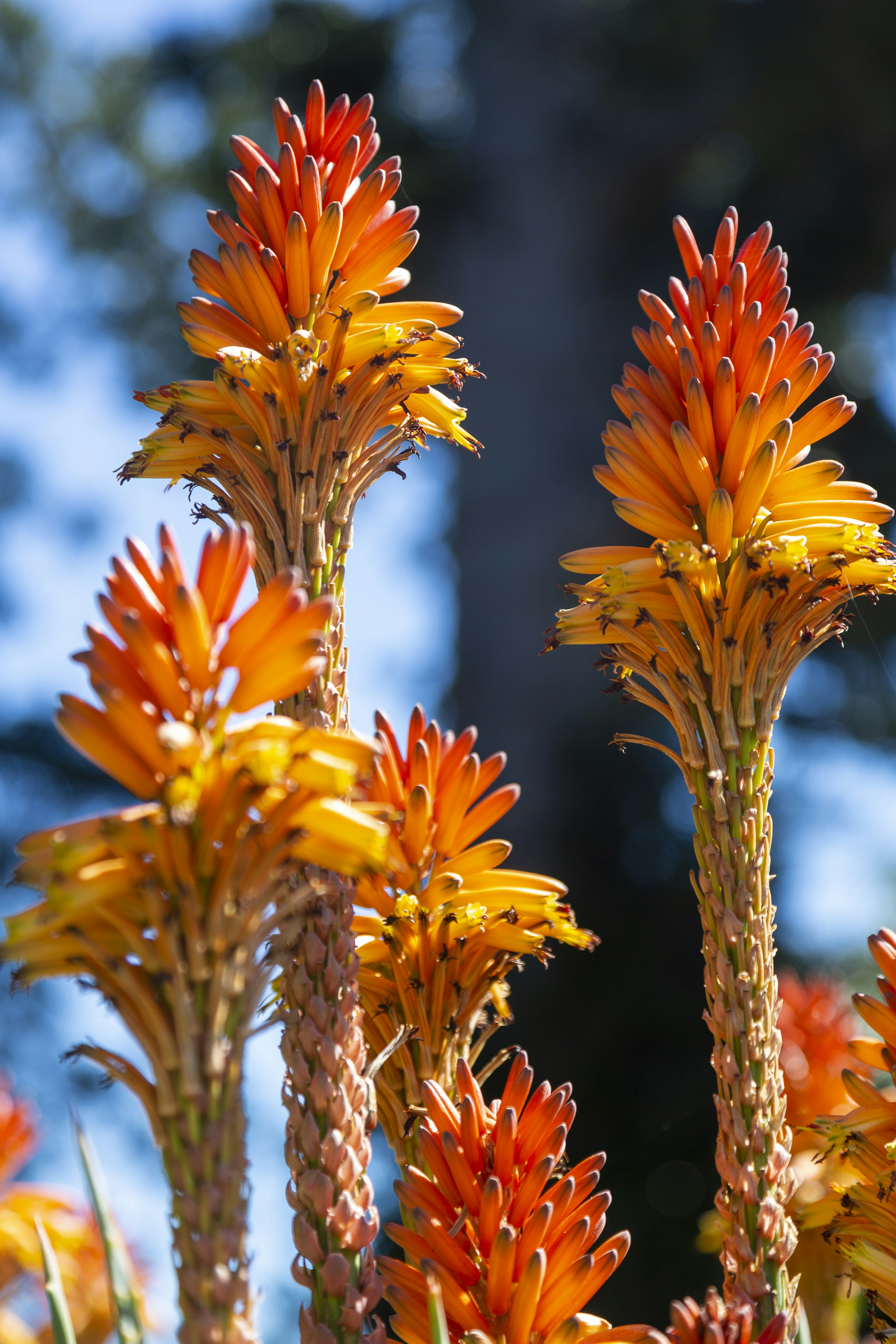 Photo by stephenmabbs