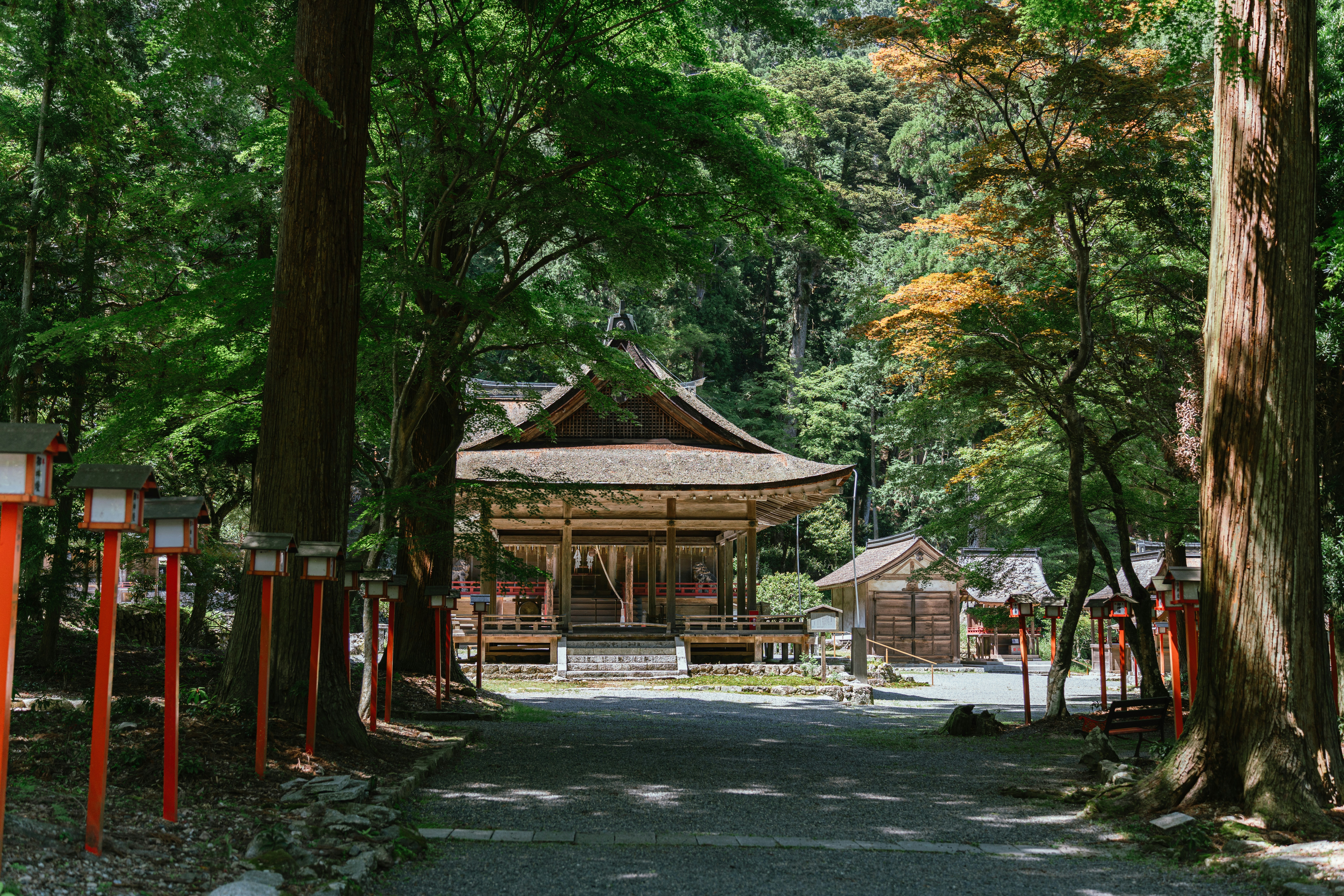 Photo by dianainjapan