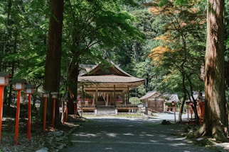 A traditional wooden shrine nestled in a lush forest setting. Tall trees surround the building, casting dappled shadows on the ground. Red lanterns line the pathway leading to the shrine, adding a vibrant contrast to the greenery. The structure features intricate wooden designs and a thatched roof, conveying a sense of cultural heritage and tranquility.