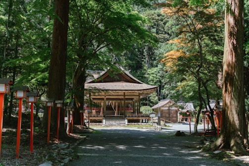 A traditional wooden shrine nestled in a lush forest setting. Tall trees surround the building, casting dappled shadows on the ground. Red lanterns line the pathway leading to the shrine, adding a vibrant contrast to the greenery. The structure features intricate wooden designs and a thatched roof, conveying a sense of cultural heritage and tranquility.
