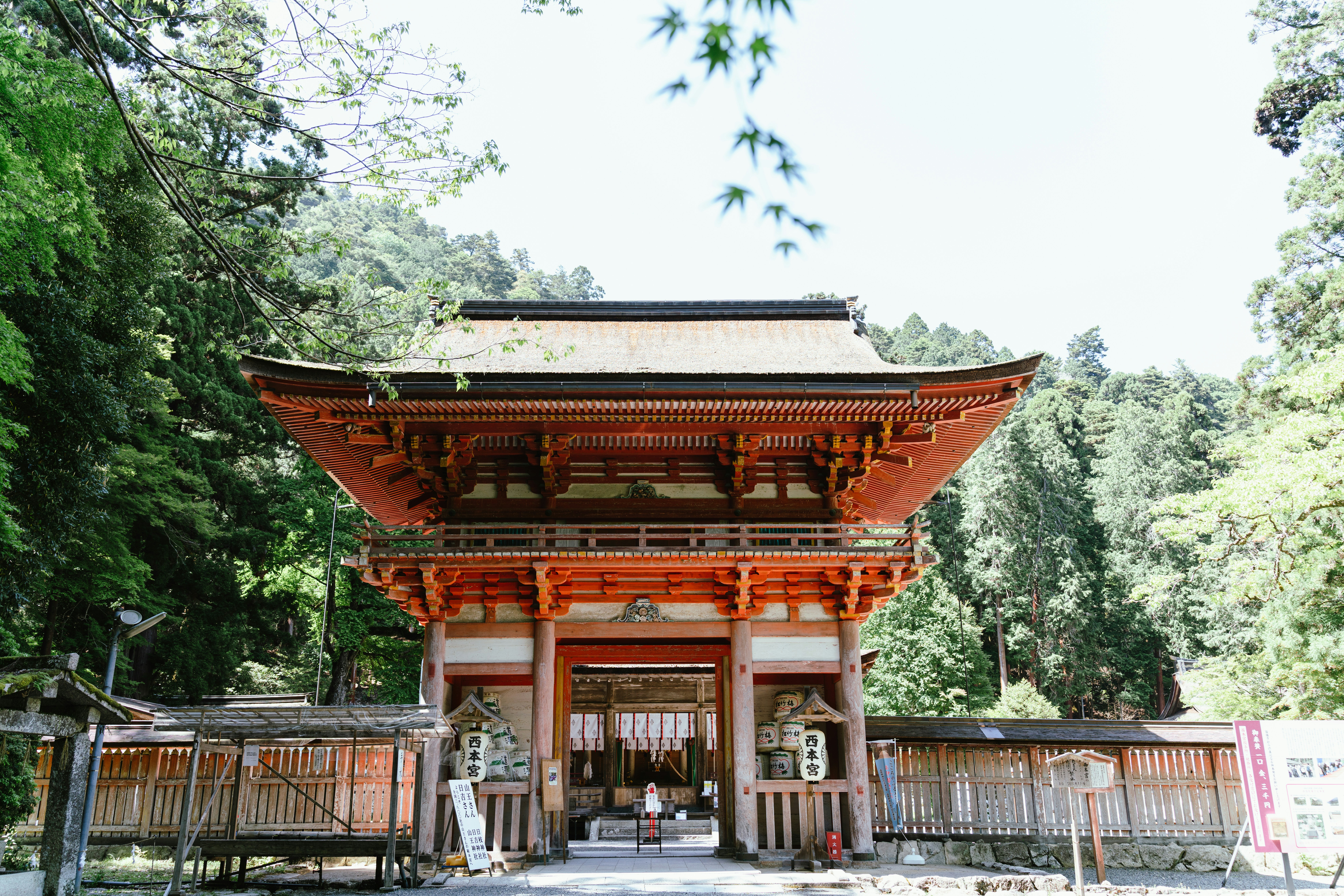 Photo by dianainjapan