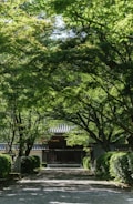 A serene temple entrance surrounded by greenery and sunlight.