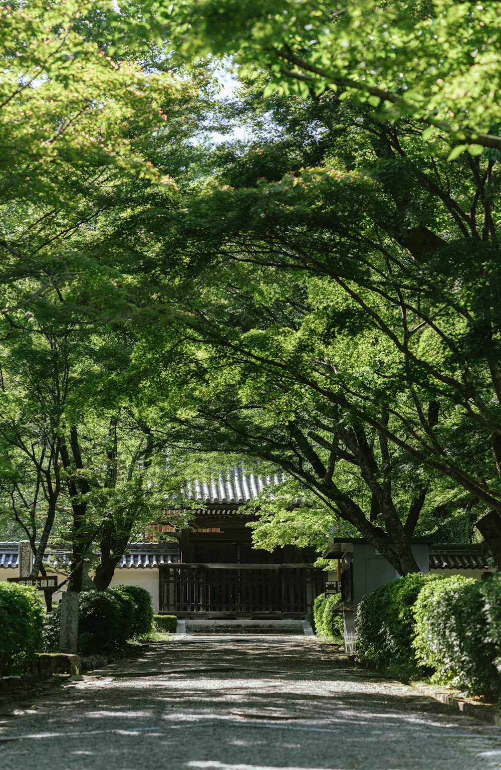 a path leading to a gate surrounded by trees