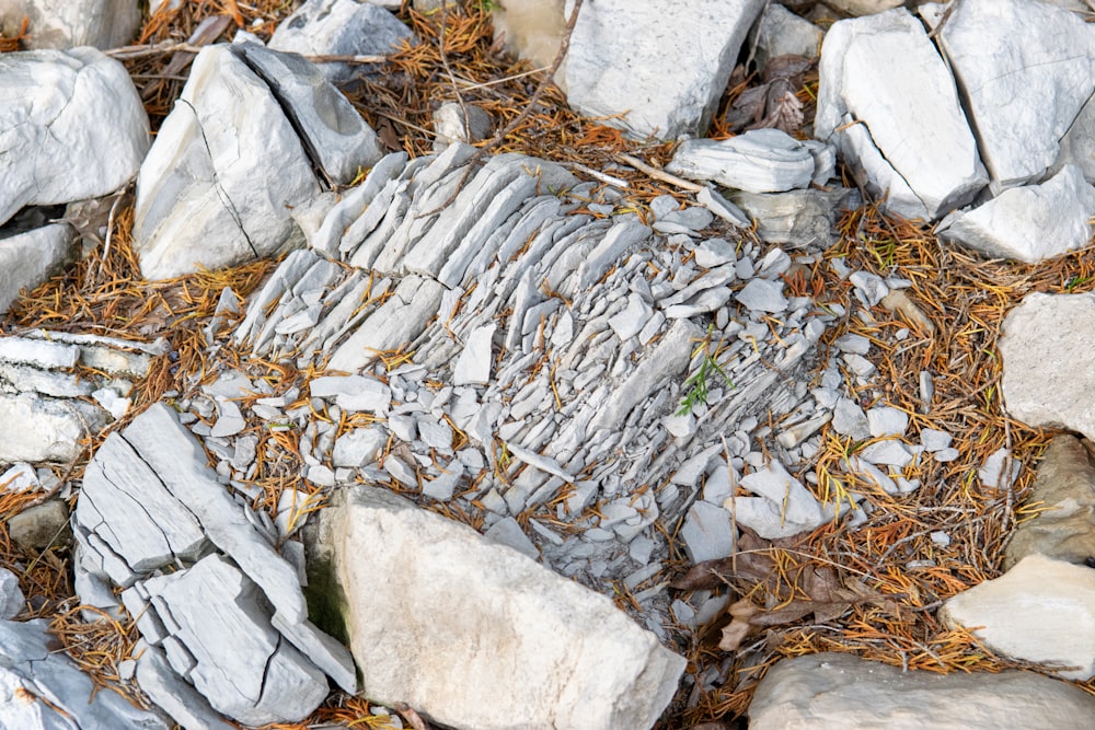 a bunch of rocks that are laying on the ground