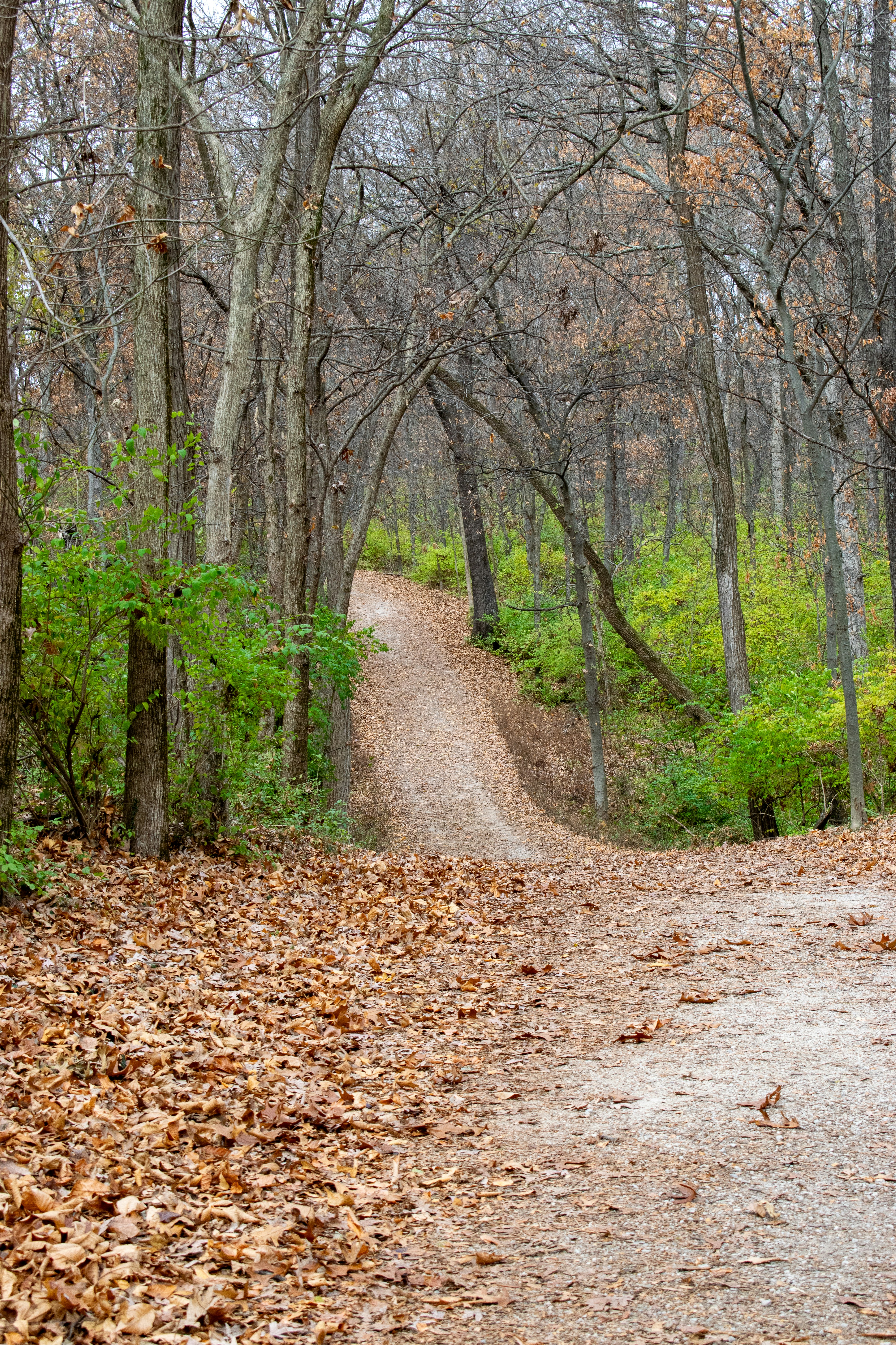 Photo by sparkledump