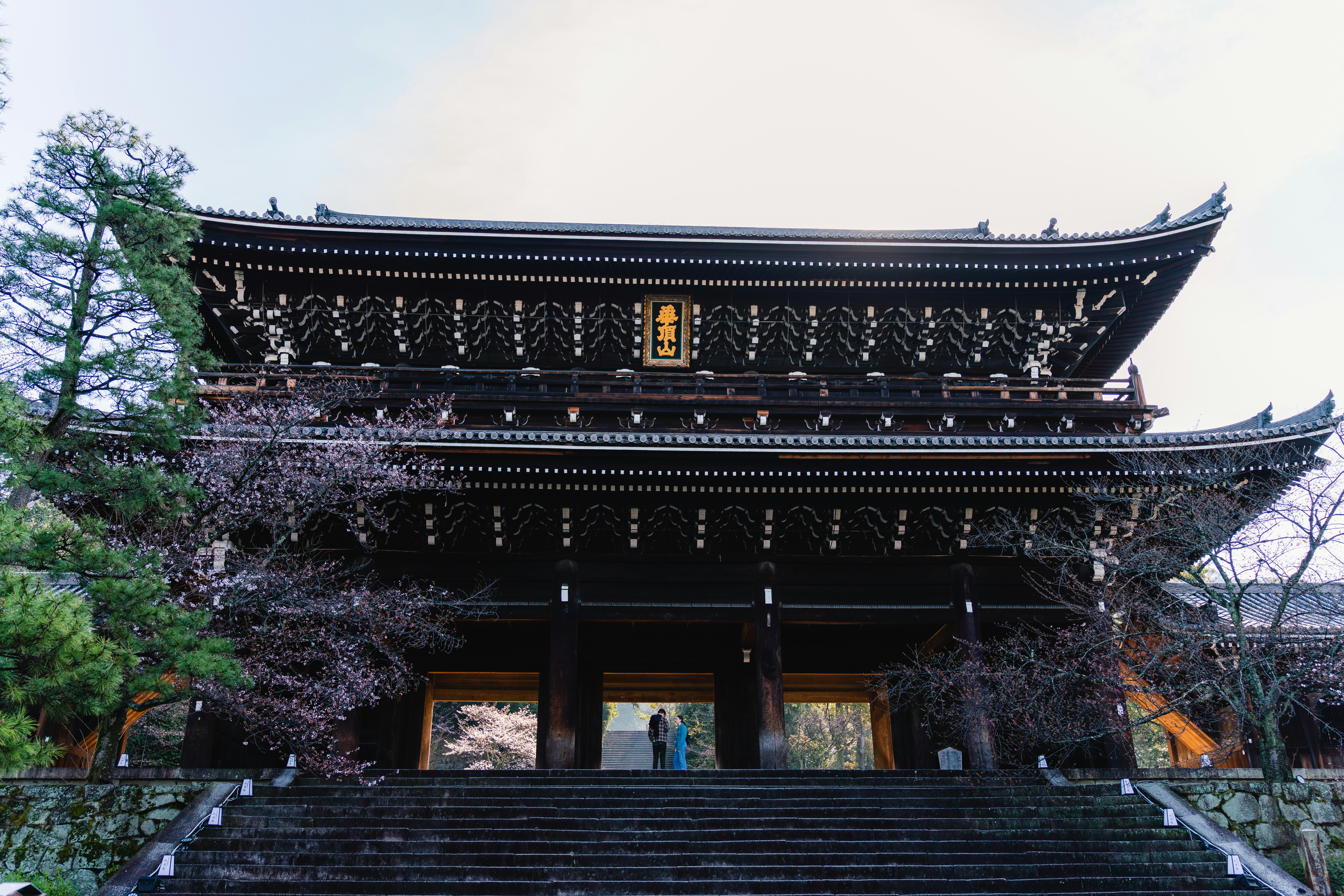 Photo by dianainjapan