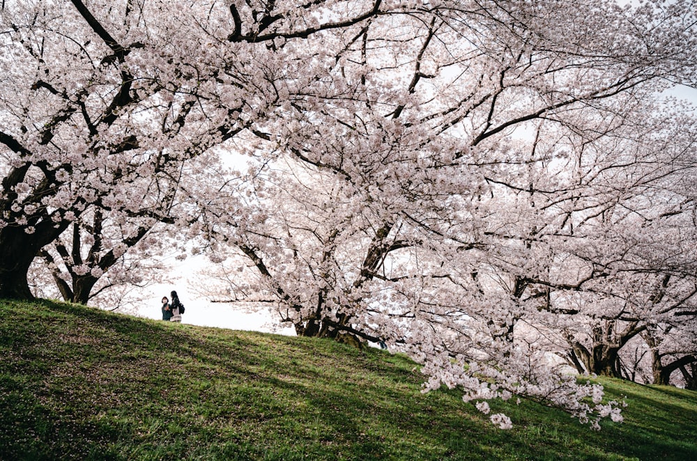 a man and a woman standing under a tree