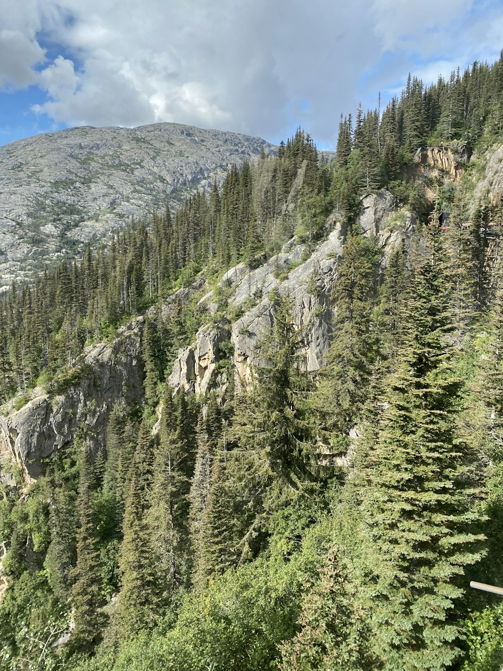 a view of a mountain with trees on the side of it