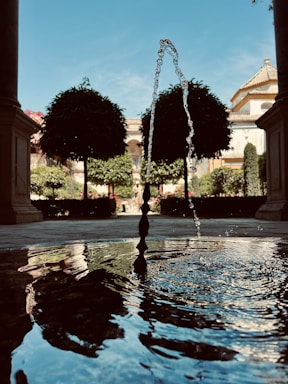 A quiet courtyard with blooming flowers and a small fountain creating a soothing ambiance.