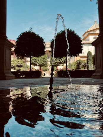 A serene courtyard featuring a rainwater management system with natural stone channels and thriving vegetation.