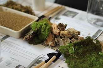 A collection of terrarium-making materials is arranged on a table, including a tray filled with soil, pieces of moss, various sizes of stones, and gardening tools. Sheets with printed text and images are partially obscured by the items, suggesting instructions or guidelines.