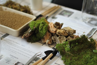 A collection of terrarium-making materials is arranged on a table, including a tray filled with soil, pieces of moss, various sizes of stones, and gardening tools. Sheets with printed text and images are partially obscured by the items, suggesting instructions or guidelines.
