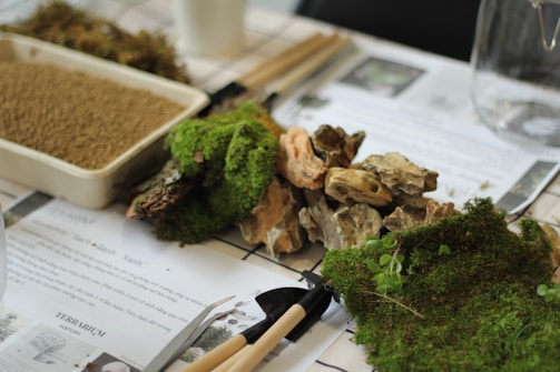 A collection of terrarium-making materials is arranged on a table, including a tray filled with soil, pieces of moss, various sizes of stones, and gardening tools. Sheets with printed text and images are partially obscured by the items, suggesting instructions or guidelines.