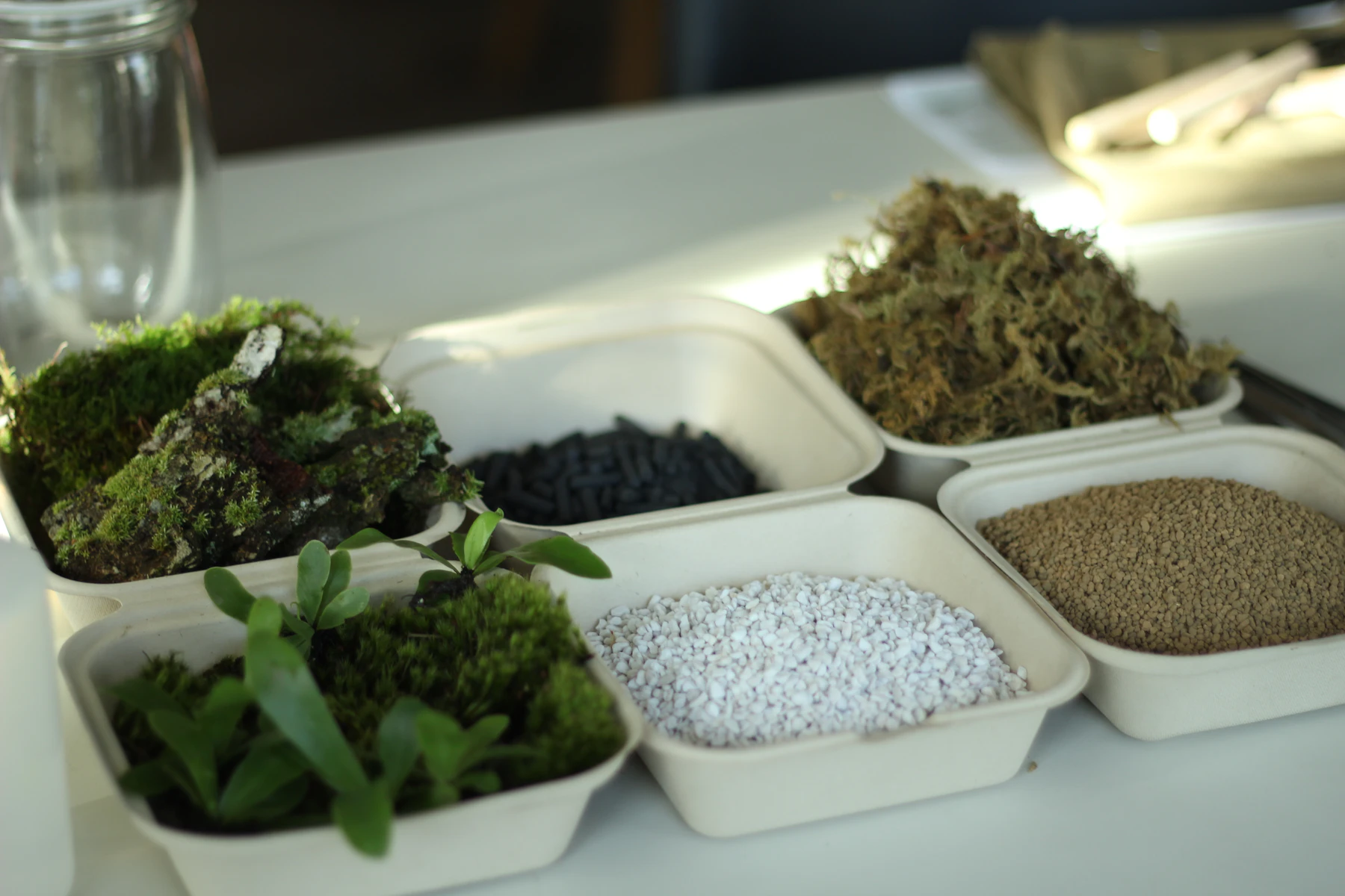 White trays holding moss, black charcoal pellets, white pebbles and tan granules beside an empty glass jar