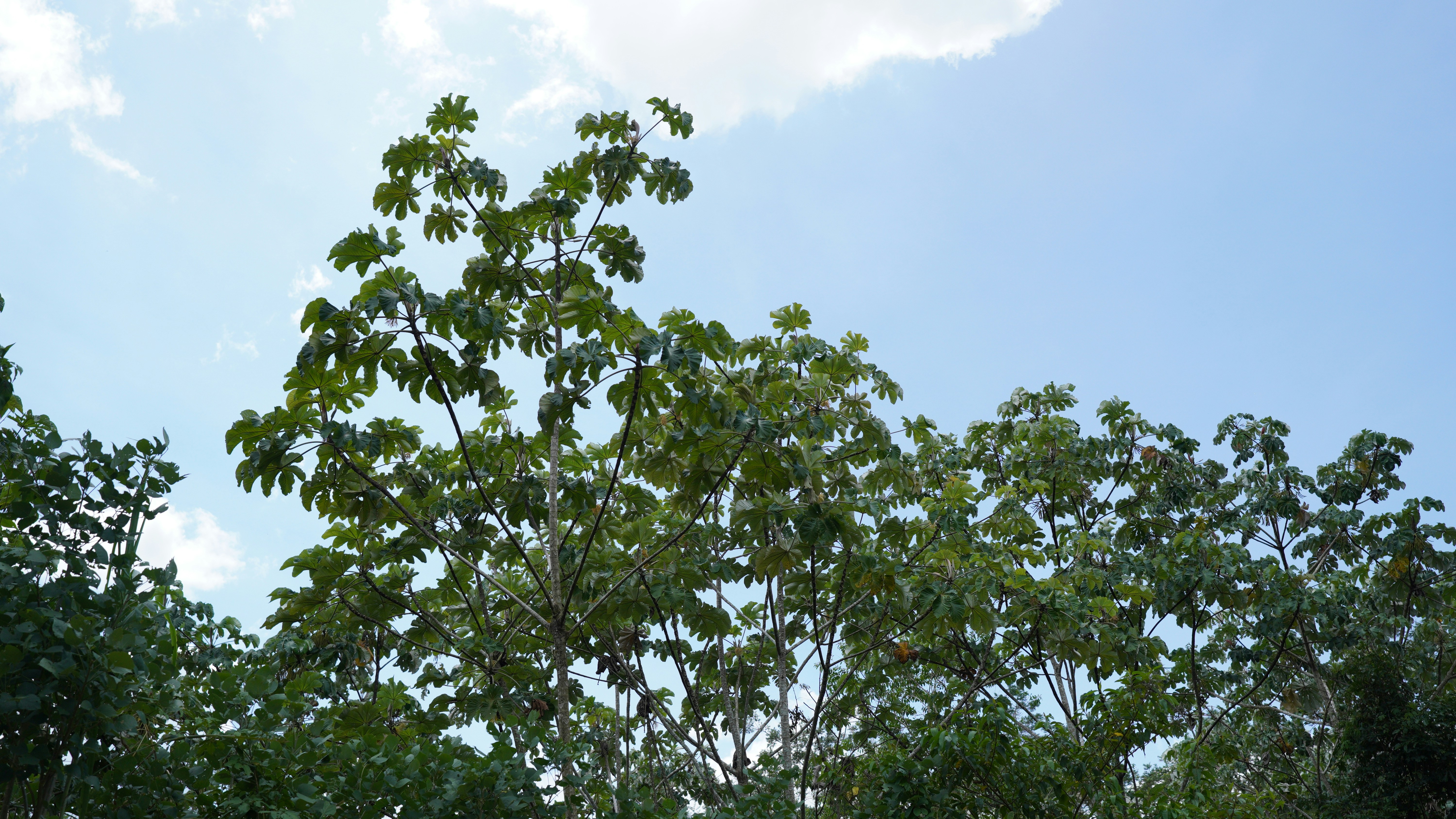 Photo by akshayspaceship