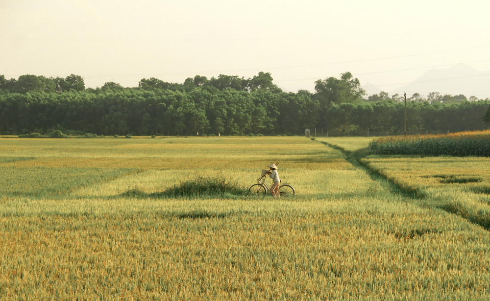 a person riding a bike through a field