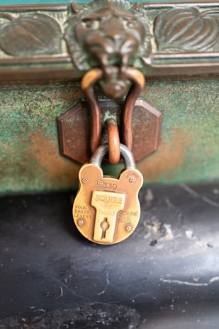An old-fashioned brass padlock is fastened on a weathered, ornate metal surface with a lion motif. The padlock is labeled with the brand name Squire and features intricate details on its surface.