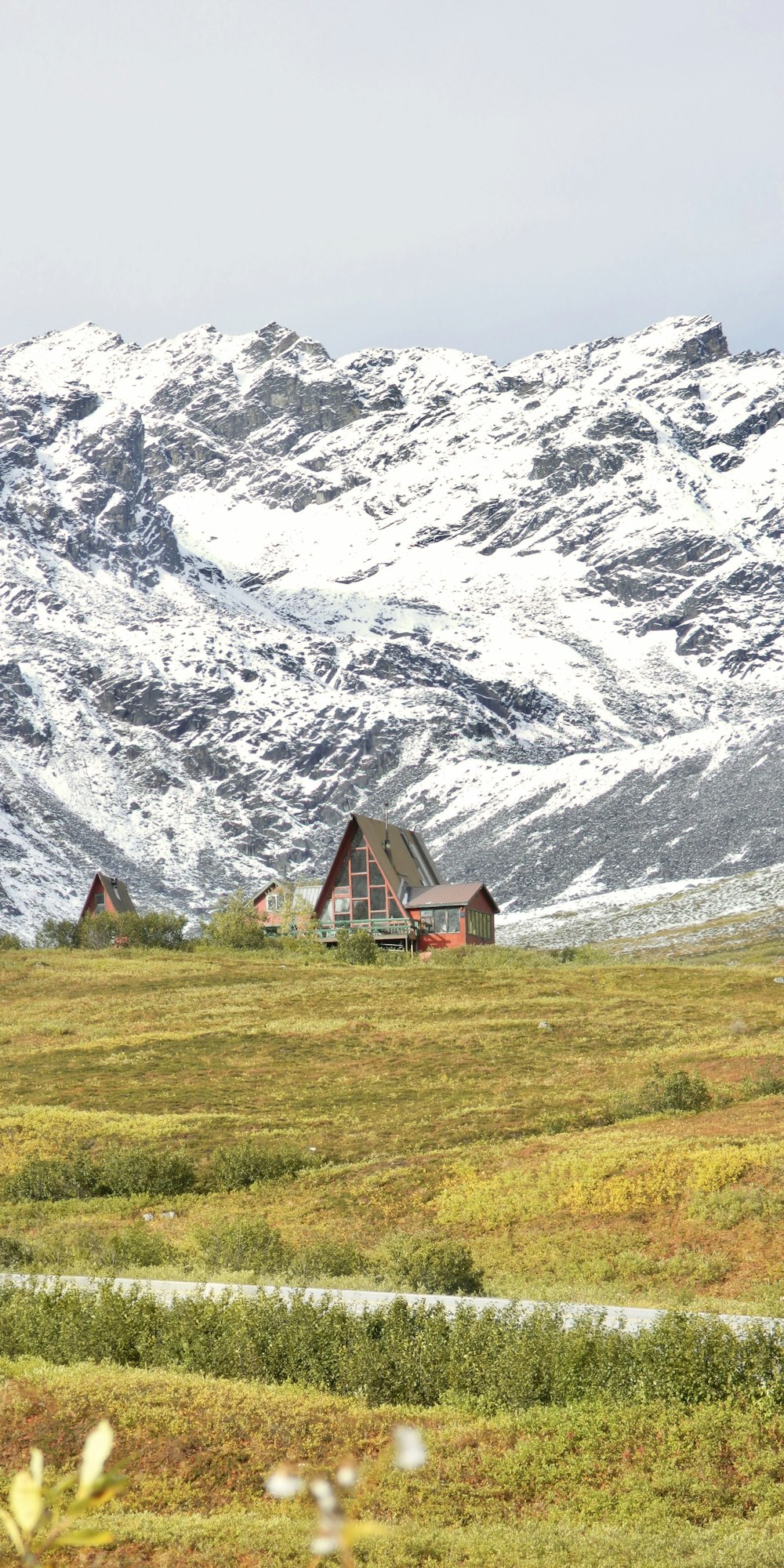 a field with a mountain in the background