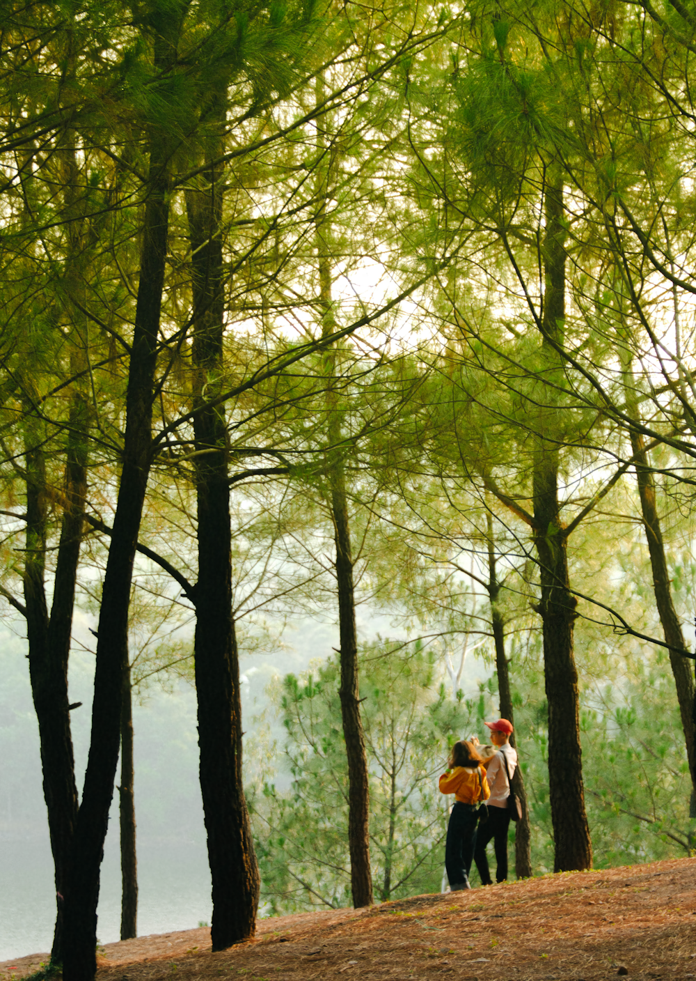 a couple of people standing next to each other in a forest