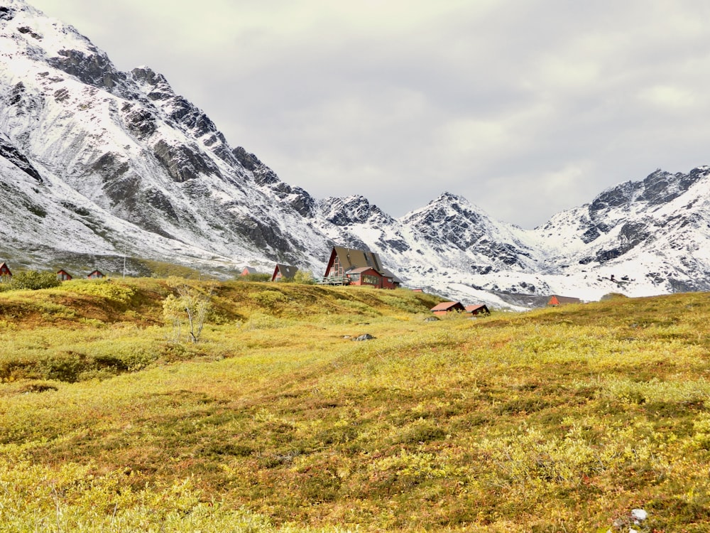 a grassy field with mountains in the background