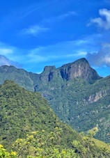 Lush green mountains rise against a vibrant blue sky with scattered clouds. The foreground is filled with dense foliage and yellow flowers, offering a tranquil natural setting. The rock formations are rugged and well-defined, highlighting the grandeur of the landscape.