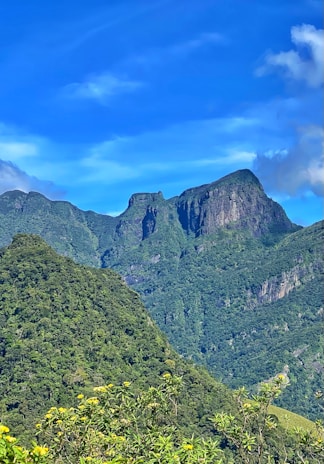 Lush green mountains rise against a vibrant blue sky with scattered clouds. The foreground is filled with dense foliage and yellow flowers, offering a tranquil natural setting. The rock formations are rugged and well-defined, highlighting the grandeur of the landscape.