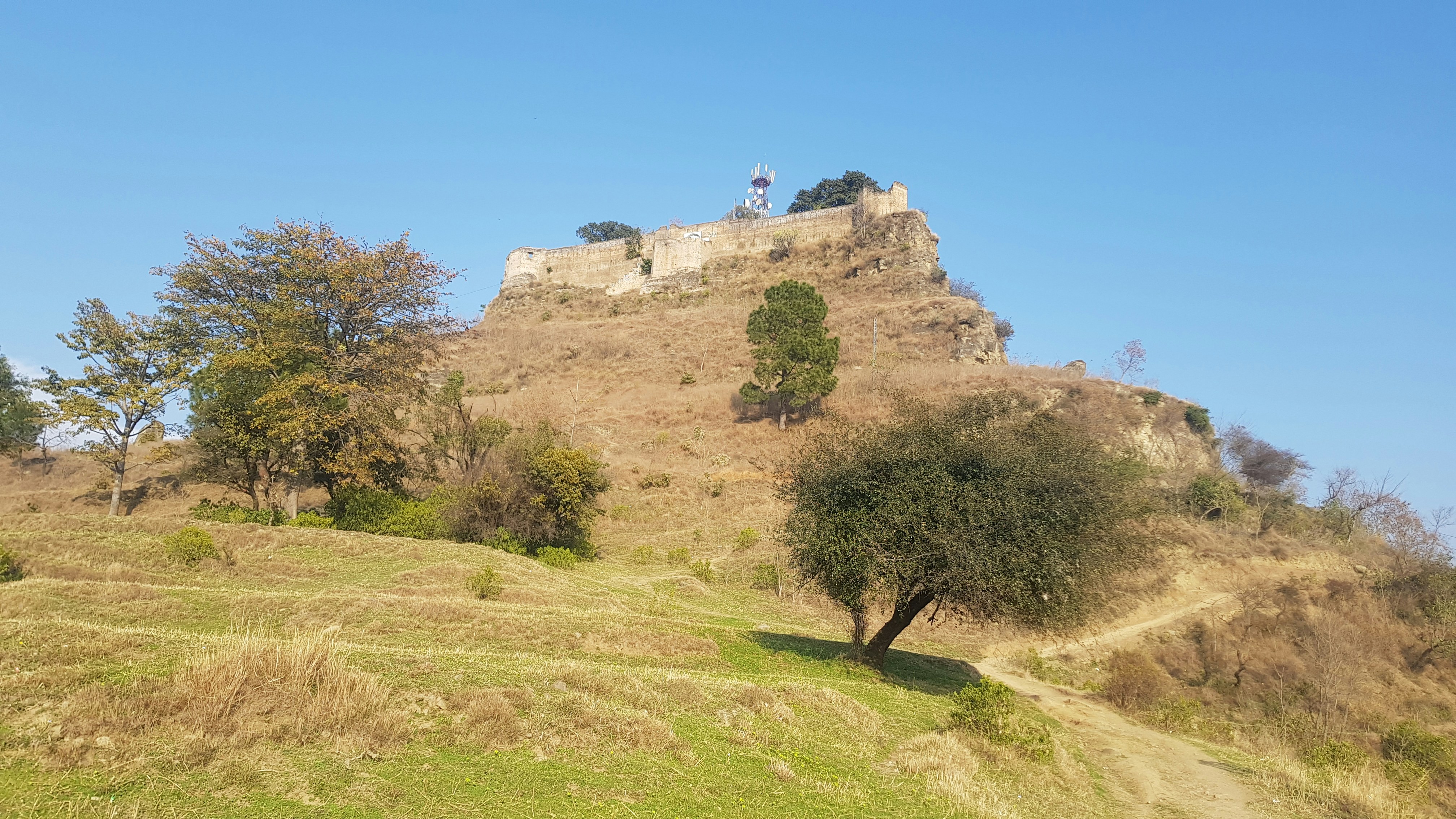 a hill with a tree on top of it