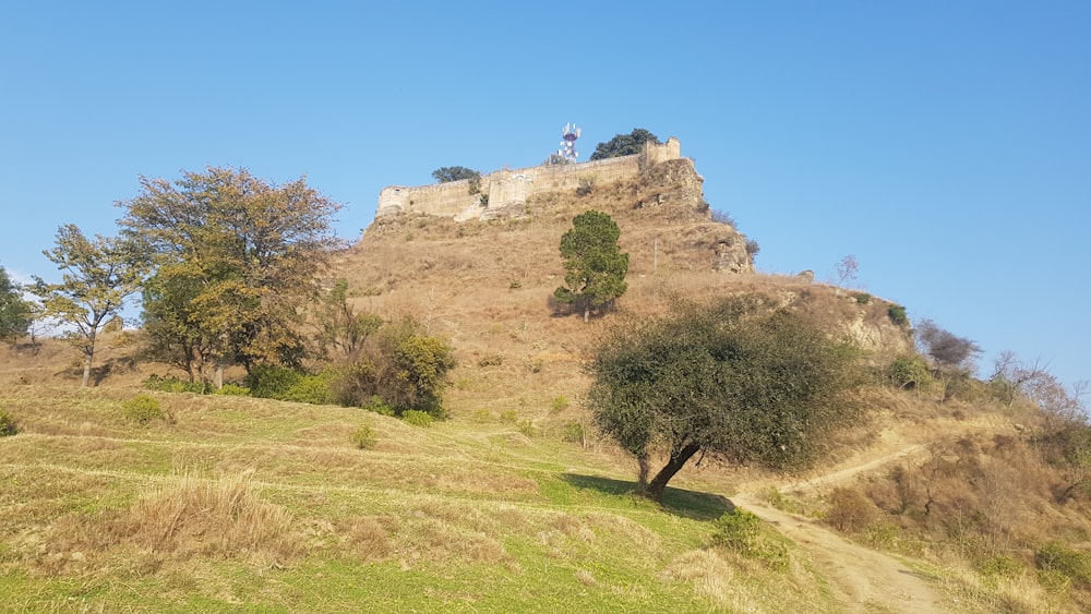 a hill with a tree on top of it