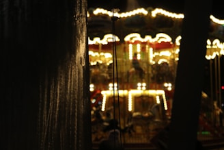 A carousel with brightly lit lights is visible in the background, casting a warm glow. The foreground is dominated by a dark surface with textured vertical streaks, possibly a tree or a pole, partially obscuring the view of the carousel.