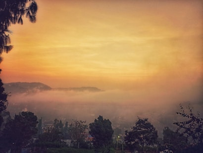 A serene landscape with a misty valley surrounded by silhouettes of trees. The sky is filled with layers of warm, golden hues from the setting or rising sun, casting a soft glow over the scene.